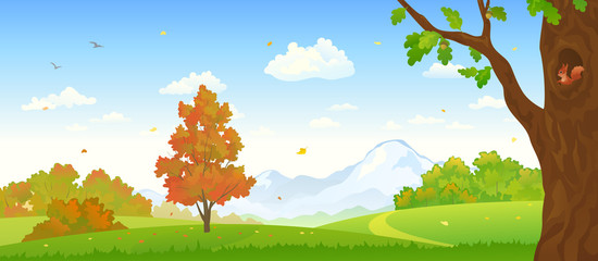 Autumn forest panorama
