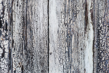 Wooden texture with peeling white paint and cracks