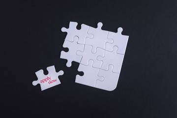 placing the last jigsaw puzzle piece with word  apply now.