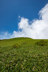 瓶ヶ森（かめがもり）　女山山頂付近