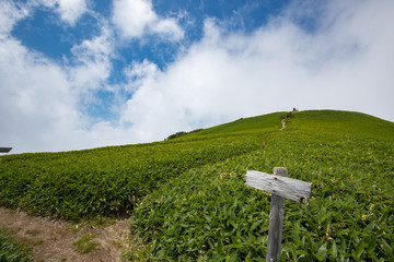 瓶ヶ森（かめがもり）　女山山頂付近