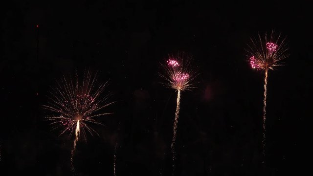 4K・3連の花火_3-499