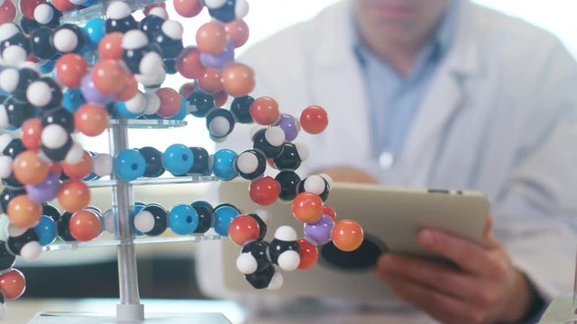  Teacher in science classroom looking at DNA model. 