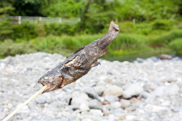 Dig as it is baked fish caught
