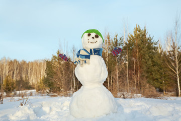 snowman in a forest
