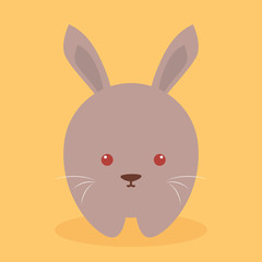 Fototapeta premium Cute Cartoon rabbit
