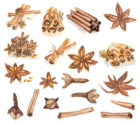 Watercolor spices set. All types of spices as cinnamon, anise, nutmeg, vanilla and more. Brown art.