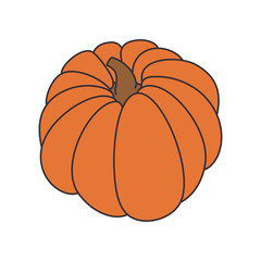 pumpkin vegetable food orange fresh nutrition healthy natural vector illustration isolated