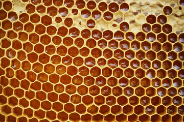honeycomb texture with honey