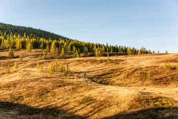 Fototapeta premium Morning landscape in the mountains