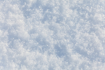 Fischer Schnee ganz nah