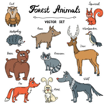 Vector set with hand drawn colored doodles  of forest animals