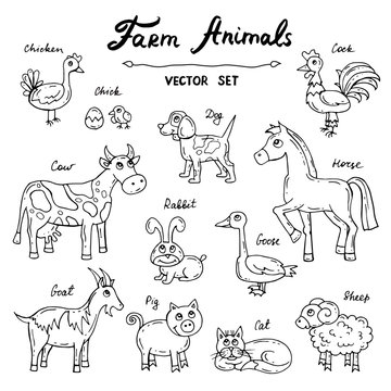 Vector set with hand drawn isolated doodles on the theme of farm animals