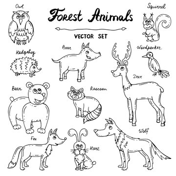 Vector set with hand drawn isolated doodles on the theme of forest animals