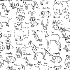 Vector seamless pattern with hand drawn forest animals on white color