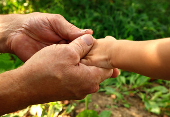   hands grandfather and grandson