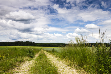 Fototapeta na wymiar Rural Road with Field and Blue Sky with Clouds.