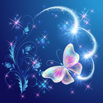 Magic  butterfly with  floral ornament and firework