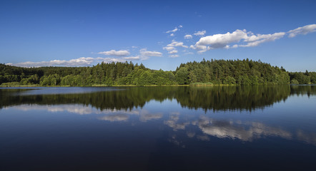 Evening Lake - Pond Photo. Quiet Peaceful Landscape.