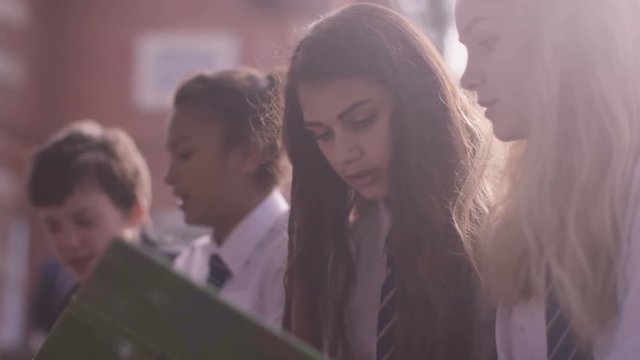  School children discussing a project outdoors in school playground
