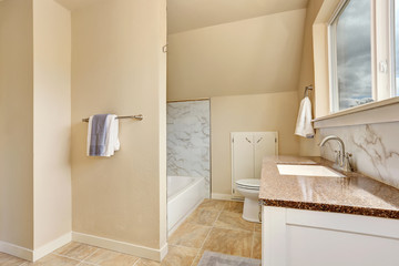 Fototapeta na wymiar Bathroom interior with vanity cabinet and granite counter top