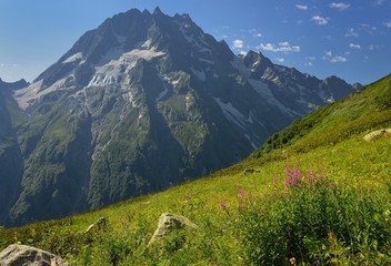 Summer in mountains