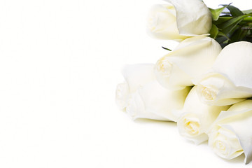 Fototapeta na wymiar Roses Isolated On The White Background