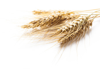 wheat ears isolated on white background