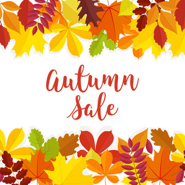 Autumn sale. Fall sale design. Can be used for flyers, banners or posters. Vector illustration with colorful autumn leaves. Vector illustration