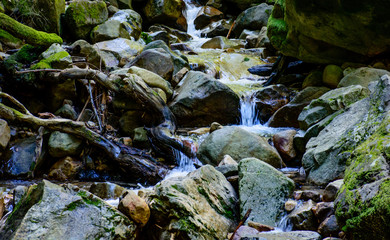 Long Exposure River and Green Moss Stone In Forest