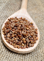 Buckwheat in wooden spoon