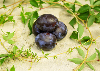Fresh plum with grape leaves on concrete background