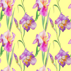 iris in the summer garden. watercolor art. pattern