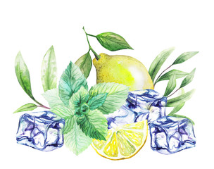 tea leafs, ice and citrus fruits. Watercolor. handmade - 118450150