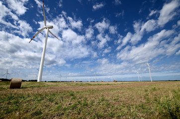 Wind farm © Artur Henryk