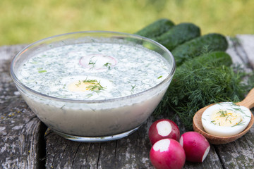Russian spring-summer cold soup with vegetables with kefir