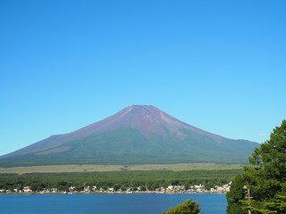 8月の富士山