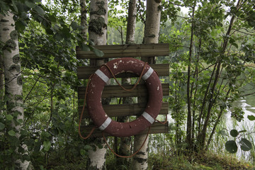 Lifebuoy hanging on a tree in the woods near the lake.
