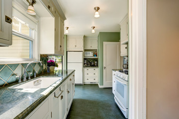 Classic American kitchen room interior in green and white tones
