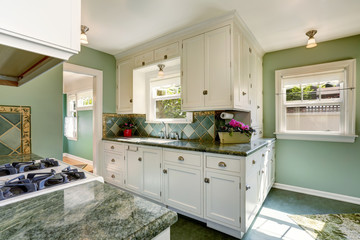 Classic American kitchen room interior in green and white tones