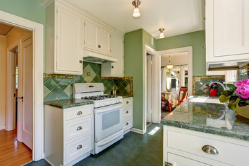 Classic American kitchen room interior in green and white tones