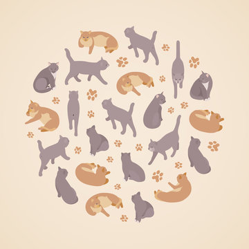 Cats set against the beige background. Isometric flat vector conceptual illustration