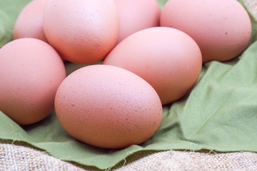 egg on wooden background