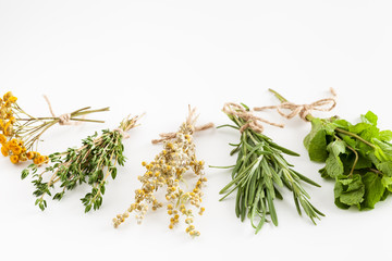 Healing herbs bunches on white. Herbal medicine.