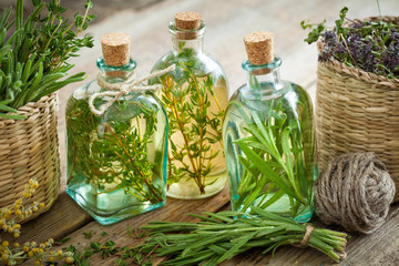 Bottles of thyme and rosemary essential oil or infusion, herbal - obrazy, fototapety, plakaty
