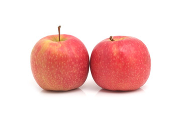 Red apple on white background