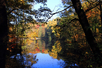 Fototapeta na wymiar slow autumn river