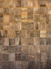Obraz premium sort textures of bark tree