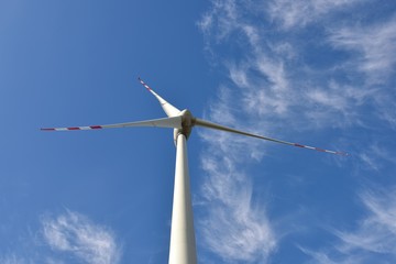 Wiatrak © Agnieszka Witczak