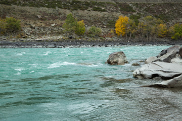 Autumn, Russia, Altai Mountains river Turquoise Katun